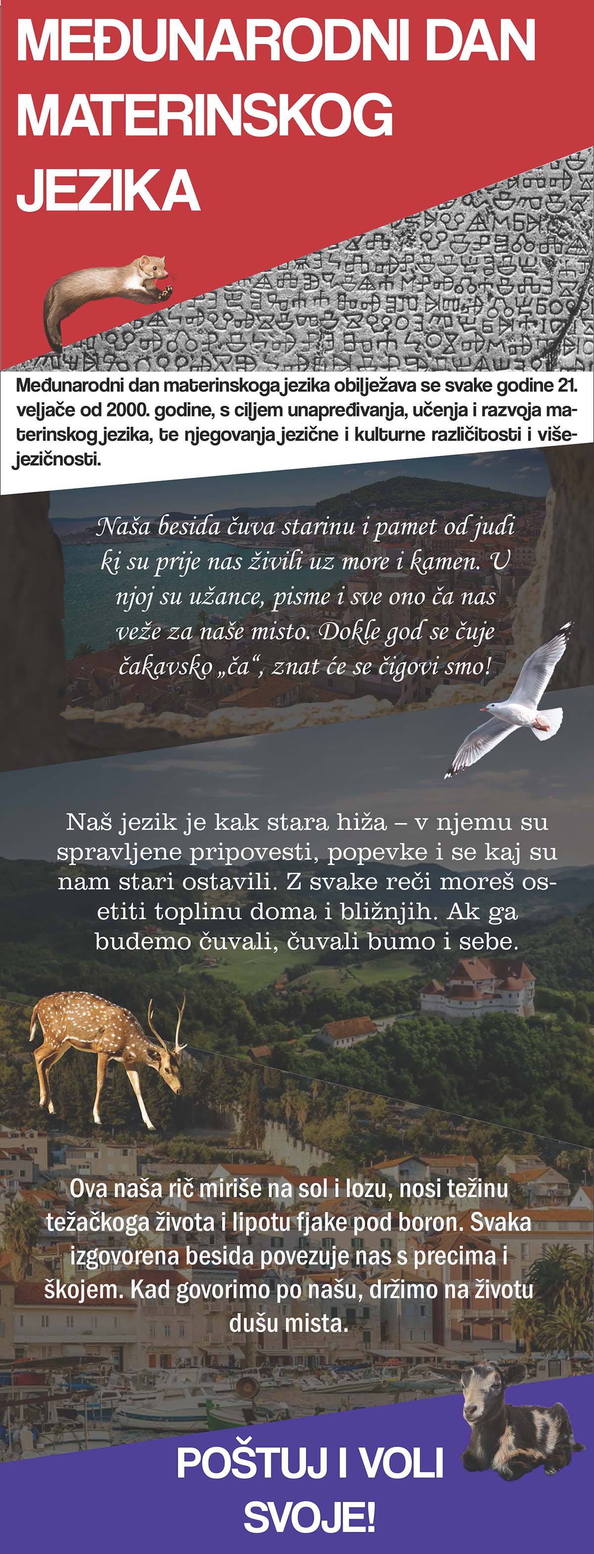 nikoleta ružanji - materinski jezik